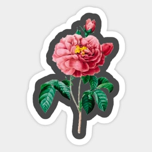 Vintage Flower Graphic Sticker